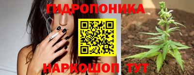 прущие грибы Гай