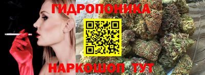прущие грибы Гай
